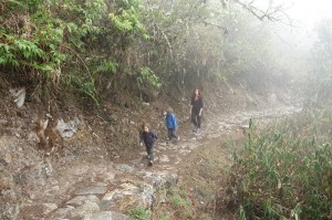 DSC08527
